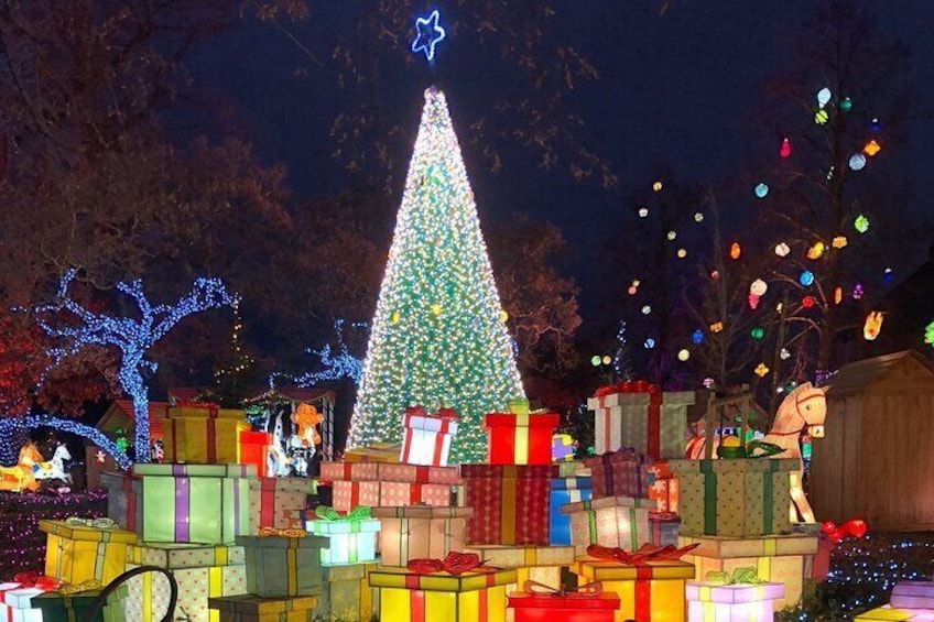 Christmas Market in Metz in Lorraine in the Grand Est