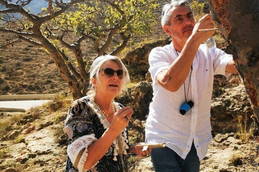 West Salalah Tour by VisitSalalah 
