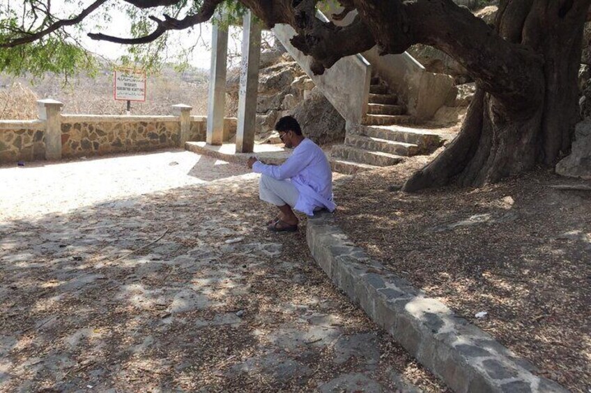 East Salalah Group Tour for 7 hours