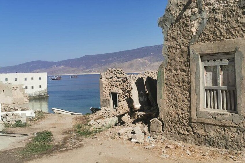 East Salalah Group Tour for 7 hours