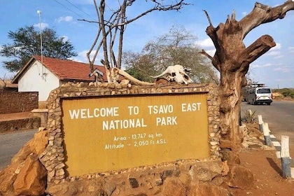 1 Day Tsavo East Safari Discovery of Kenya's Wildlife