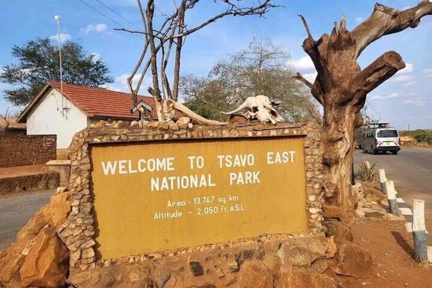1 Day Tsavo East Safari Discovery of Kenya's Wildlife