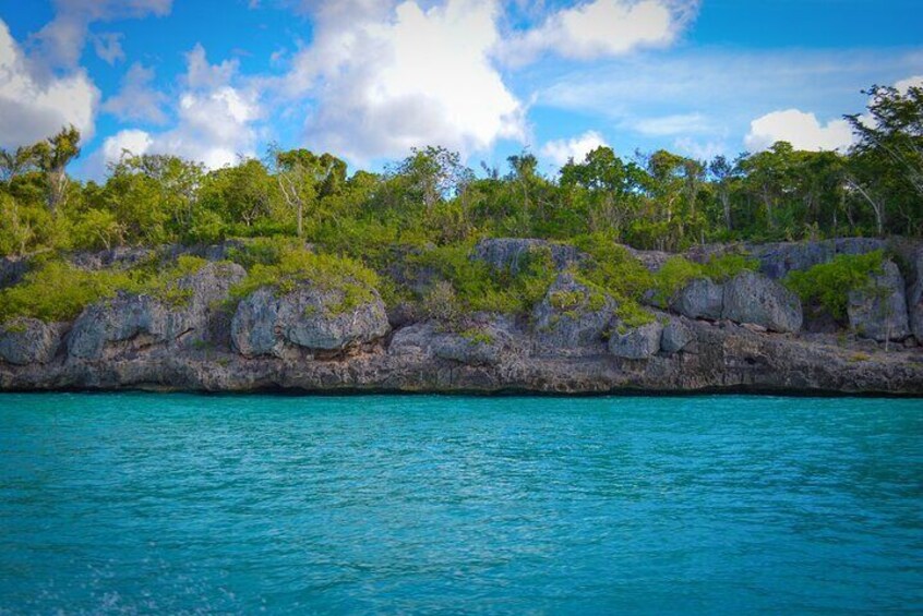 Saona Island a Paradise from Punta Cana All Inclusive Guided Tour 