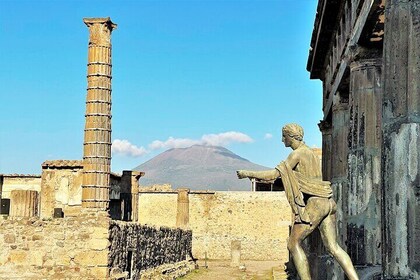 From Sorrento Pompeii Guided Tour and Wine Tasting