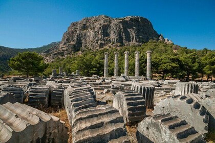 Private Tour in Priene, Miletos and Didyma