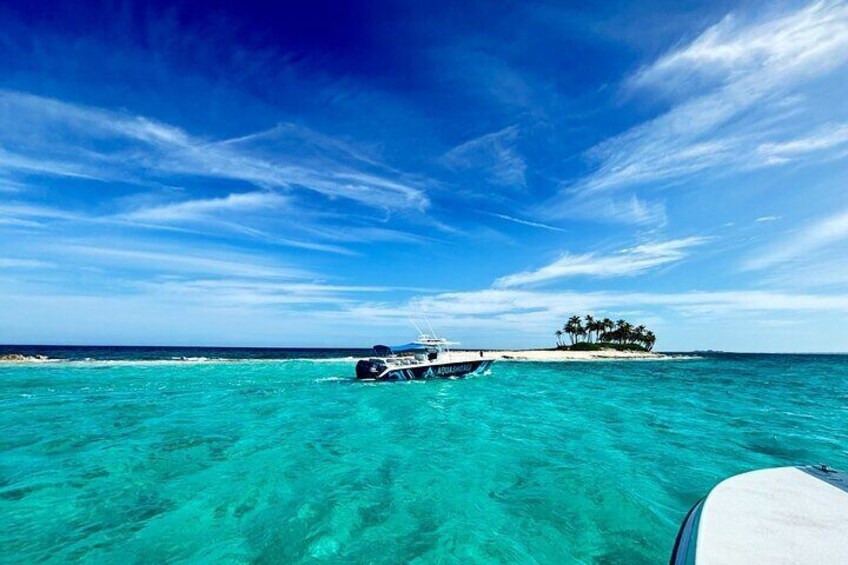 Nassau Snorkeling, Turtle Spotting and Sunset Dinner tour