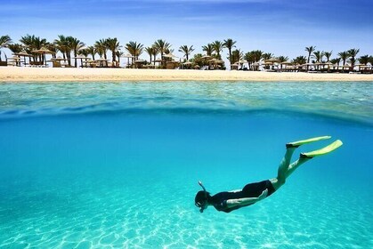 Marsa Alam Snorkeling Trip to Satayh Dolphin Reef