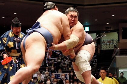 Mira la experiencia de entrenamiento de Grand Sumo Noon en Tokio