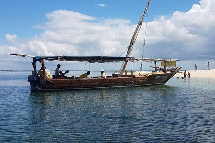 Privat Safari Blå lagunen och Kwale Island Tour