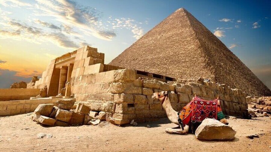 Cairo Day Trip by Bus from Sharm el Sheikh