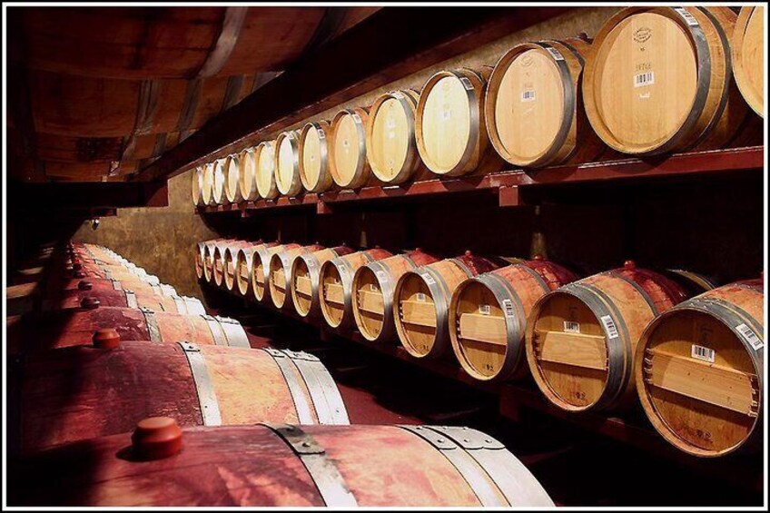 French barrels with Hawkes Bay Scenic Tours