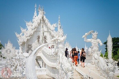 Chiang Rai Temples Day Trip from Chiang Mai