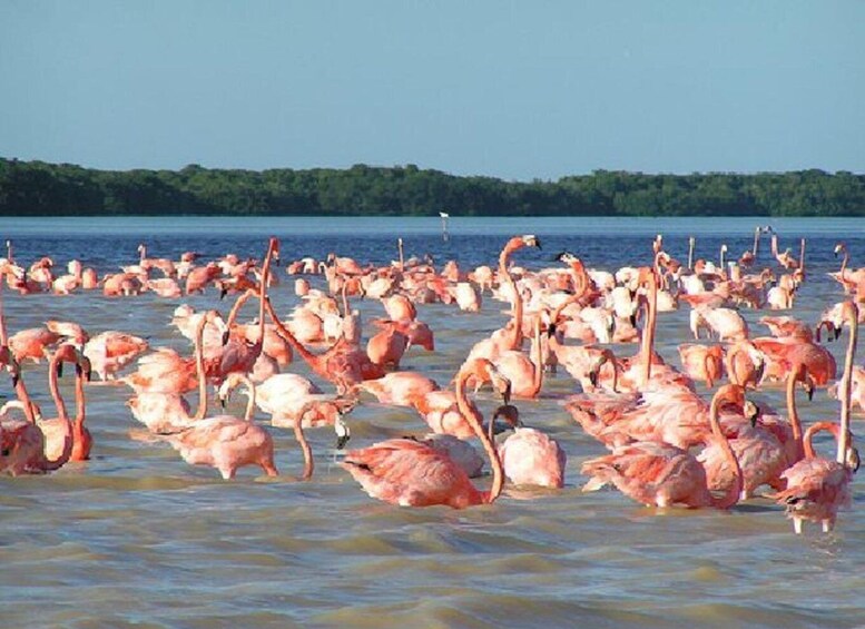Picture 9 for Activity La Guajira: 2-Day Cabo de la Vela and Manaure Tour