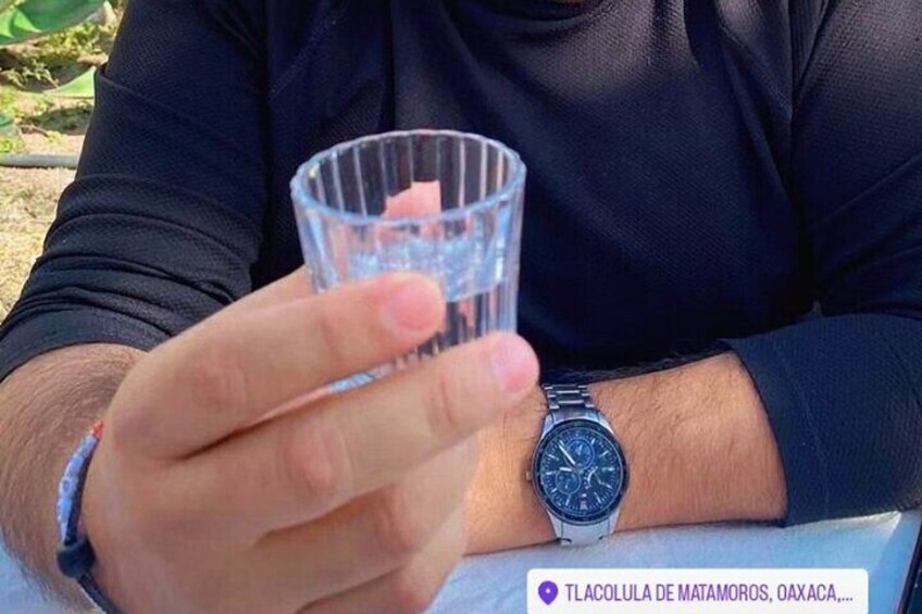 The Mezcal and Season Tour