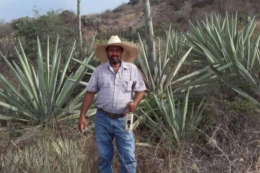 The Tour of Agave and Sazón