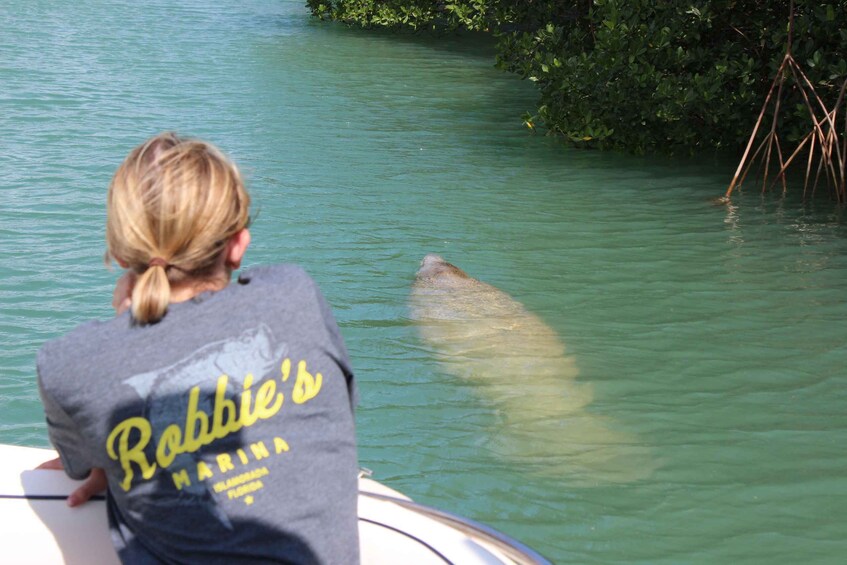 Picture 2 for Activity Islamorada: Private Boat Tour with Snorkeling and Sandbar