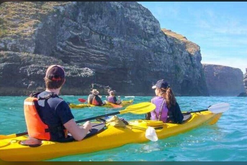 Private Akaroa Day Tour From Christchurch
