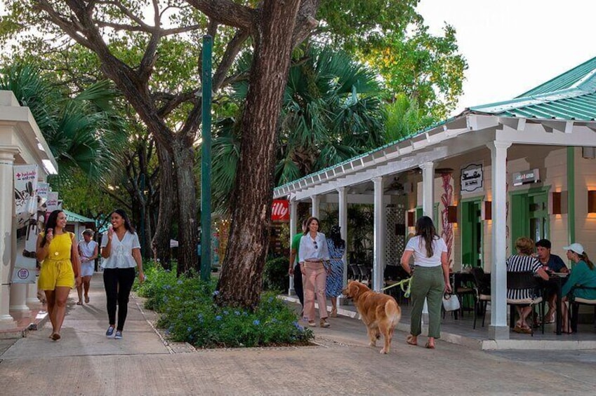 Punta Cana City Tour Explore the Heart of the City