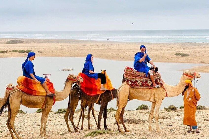 Safari Camel Ride in Banana Beach from Agadir