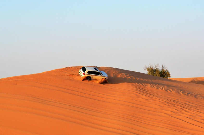 Abu Dhabi Desert Safari with BBQ dinner and Entertainment on Sharing Basis