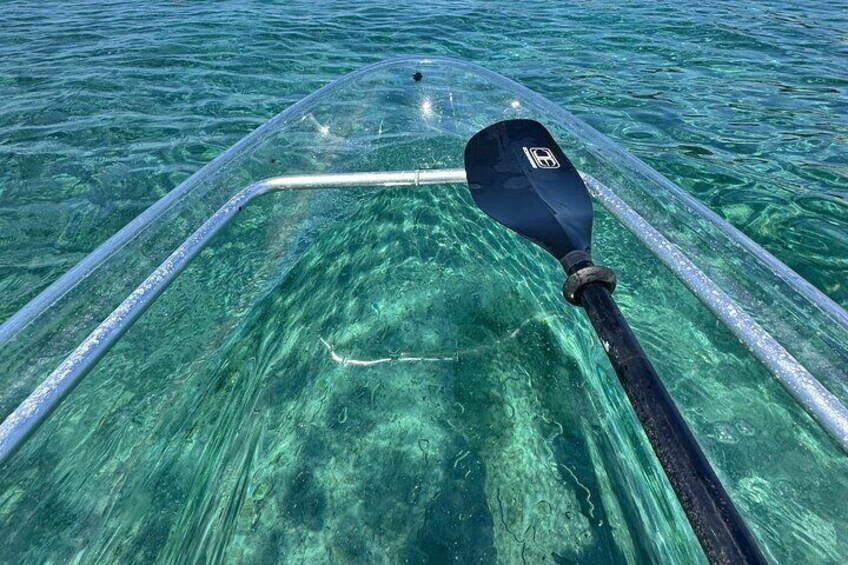 Clear Kayak Peanut Island day rental• snorkel gear included