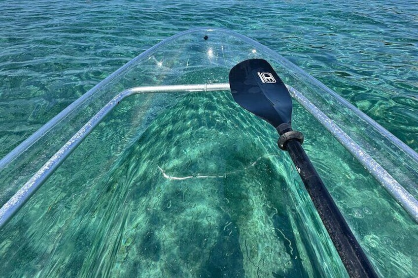 Clear Kayak Peanut Island day rental• snorkel gear included