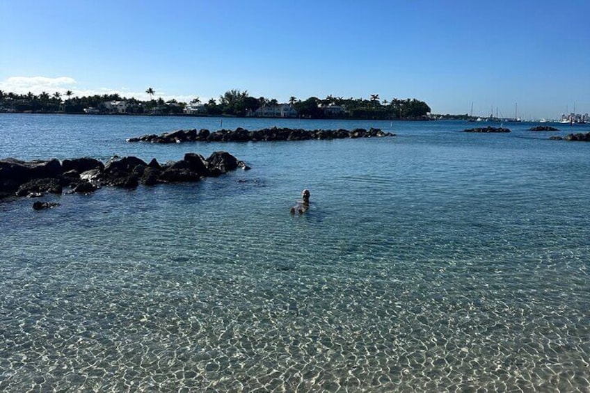 Clear Kayak Peanut Island day rental• snorkel gear included