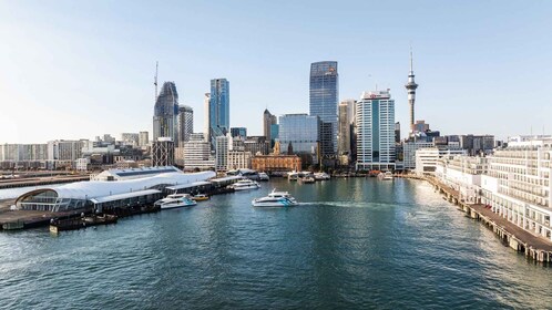 Auckland: Scenic Harbour Sightseeing Cruise