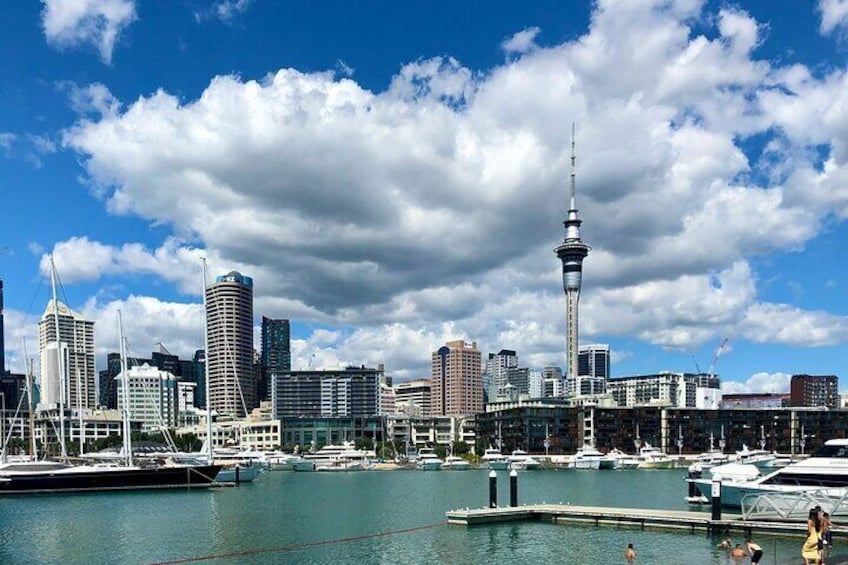 A Self-Guided Walking Tour of Auckland's Hidden Stories