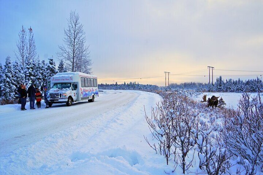 Exploring Anchorage on Winter Sundays