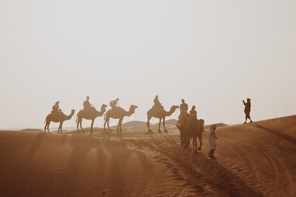 4 Days Desert Tour from Marrakech to Agadir and Taghazout