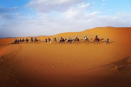 4 Days desert tour from Agadir or Taghazout to Marrakech