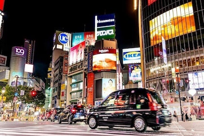 Private Tokyo Culture Tour by Car