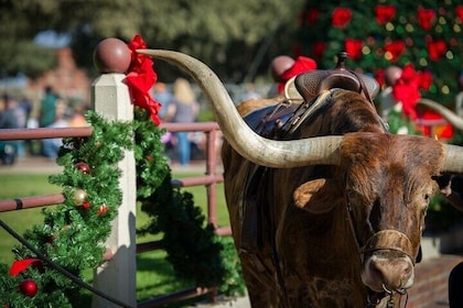 Stockyards Holiday Food & Culture Tour in Forth Worth