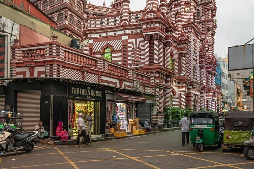 Colombo City Tour with Muthurajawela Bird watching