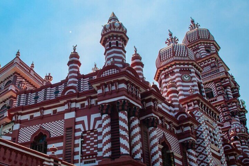 Colombo City Tour with Muthurajawela Bird watching