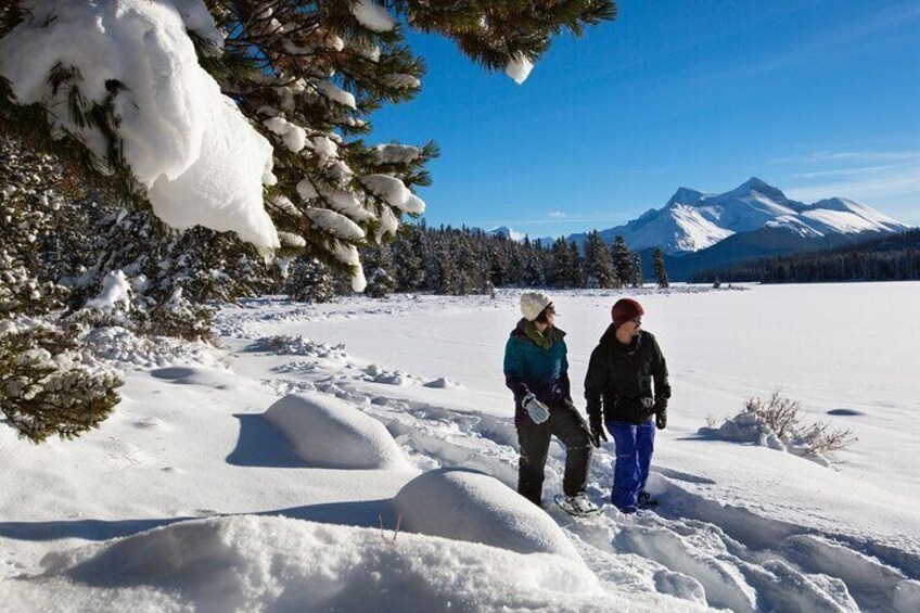 Banff Lake Louise Ski Snowboard Lesson and Tour Shuttle