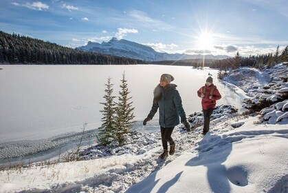 Lake Louise Ski Snowboard Icefield with Peyto Lake Shuttle