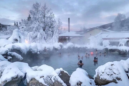 Chena Hot Springs Day Tour with transportation