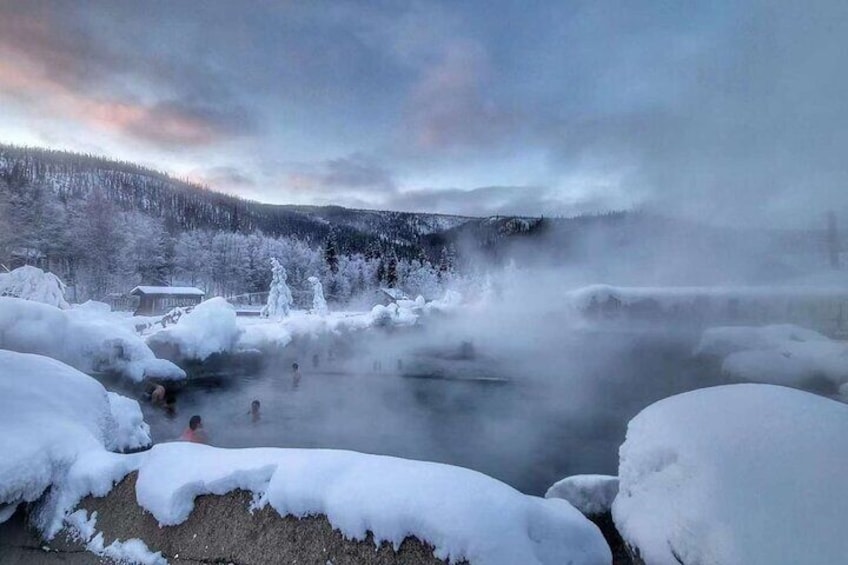 Chena Hot Springs Day Tour with transportation