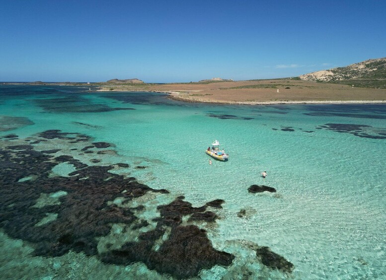 Picture 4 for Activity Stintino: Half-day Rib Tour in Asinara With Aperitif