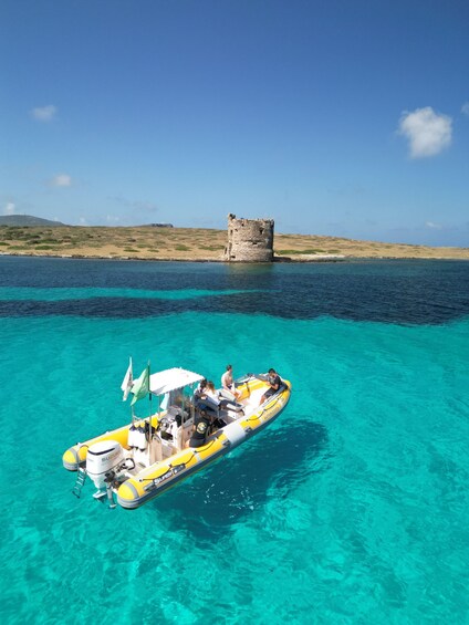 Picture 1 for Activity Stintino: Half-day Rib Tour in Asinara With Aperitif