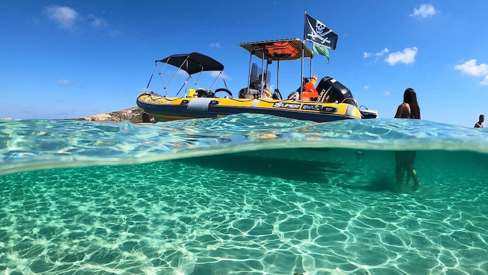 Picture 5 for Activity Stintino: Half-day Rib Tour in Asinara With Aperitif