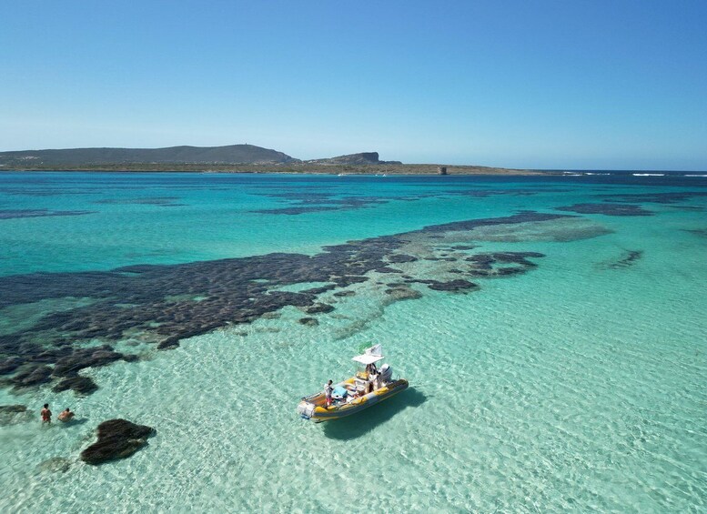 Picture 2 for Activity Stintino: Half-day Rib Tour in Asinara With Aperitif