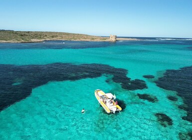 Stintino: Half-day Rib Tour in Asinara With Aperitif