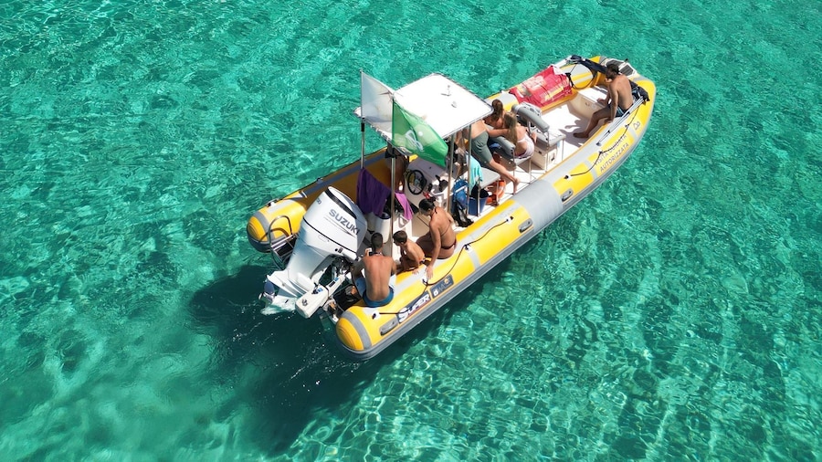Stintino: Half-day Rib Tour in Asinara With Aperitif