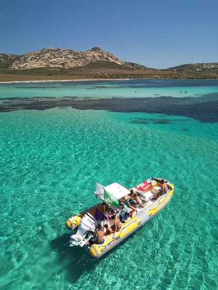 Stintino: Half-day Rib Tour in Asinara With Aperitif