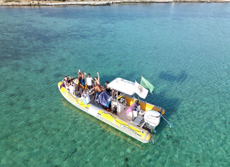 Picture 1 for Activity Stintino: Half-day Rib Tour in Asinara With Aperitif