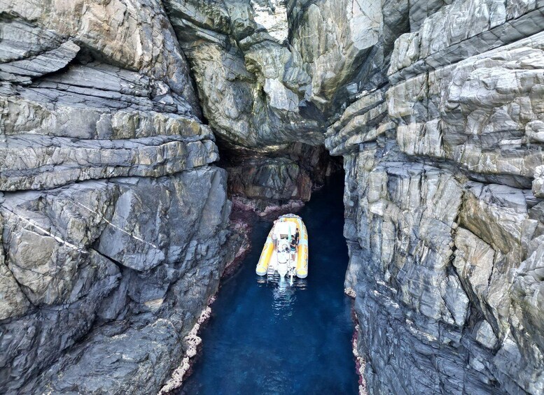 Picture 3 for Activity Stintino: Half-day Rib Tour in Asinara With Aperitif