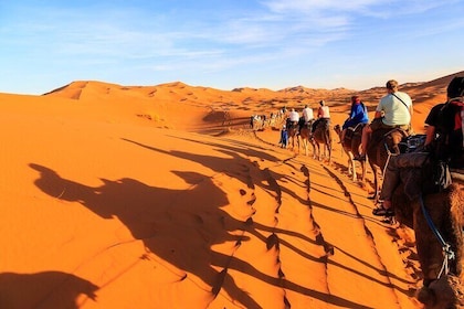 5-Day Private Luxury Merzouga Dunes Tour from Marrakech